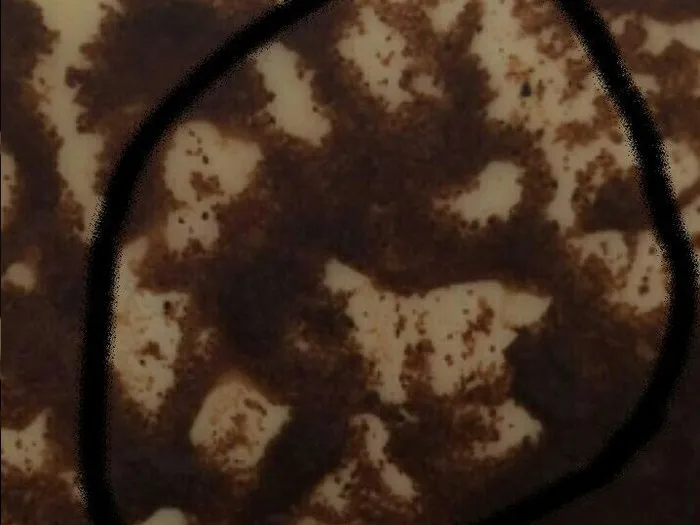 Записаться на прием к гадалке в Уфе